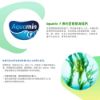 圖片 【樂健飛】關節 UCII+海藻鈣120顆