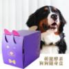 圖片 Dr. Pet｜酵素益生保健糧【狗】｜單盒
