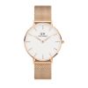 圖片 Daniel Wellington DW00100305 36mm PETITE MELROSE 腕錶