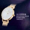 圖片 Daniel Wellington DW00100594 金殼貝殼面米蘭腕錶