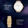 圖片 Daniel Wellington DW00100594 金殼貝殼面米蘭腕錶