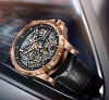 圖片 DAUMIER 瑞士丹瑪錶 DM8695-B3 超跑元素 雙飛輪機械錶