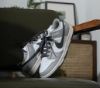 Nike Dunk Low Light Smoke Grey DD1503-117