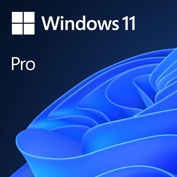 圖片 Windows 11 專業隨機版 64位元