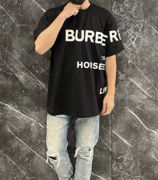 圖片 BURBERRY 字母T