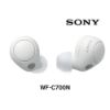 圖片 SONY-WF-C700N多彩降噪真無線耳機