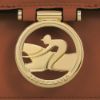 圖片 LONGCHAMP  BOX-TROT 斜背包 XS號 棕色   10180HAU 504