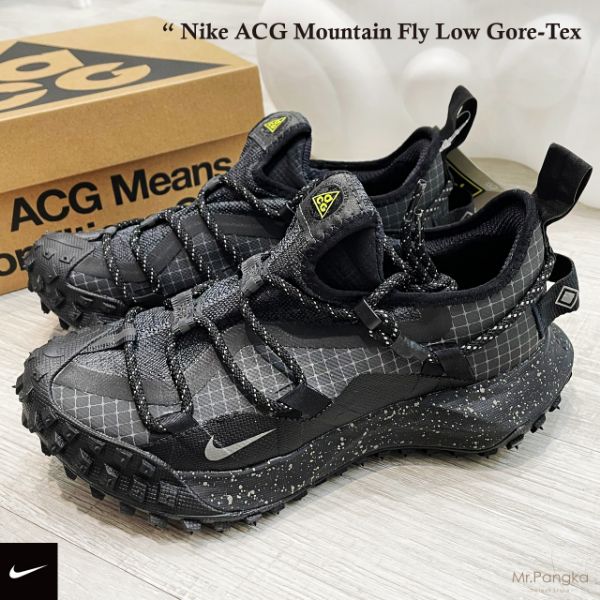 圖片 Nike ACG Mountain Fly Low Gore-Tex 防水 機能 戶外休閒鞋