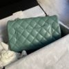 圖片 Chanel 22s莫蘭迪綠金羊皮mini cf