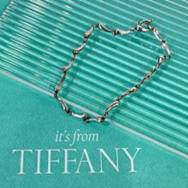 圖片 【哈極品】美品《Tiffany&Co. 純銀小水滴手鍊/飾品》