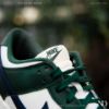 圖片 NICEDAY 部分現貨/代購 Nike Dunk Low 召喚峽谷 森林午夜藍 男女鞋 女款 DD1503-300