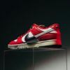 Nike Dunk Low Retro PRM Chicago Split DZ2536600