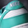 Nike Dunk Low Clear Jade DV0833-101