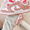  Nike Dunk Low Rose Whisper DD1503-118