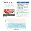 圖片 禾聯150L臥式冷凍櫃HFZ-15B2