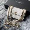 圖片 Chanel 22a 白金荔枝口袋mini woc