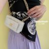 圖片 Chanel 22a 白金荔枝口袋mini woc