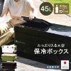 圖片 日本製伸和 LAGOON 45L 黑色 輕型保冷冰箱