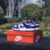 Nike Dunk Low Court Purple DD1391104