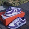 Nike Dunk Low Court Purple DD1391104