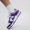 Nike Dunk Low Court Purple DD1391104