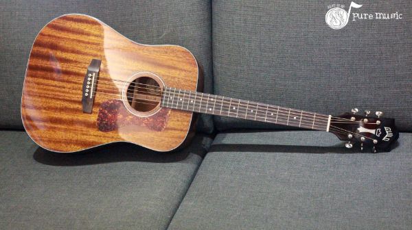 Guild D-120