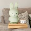 圖片 Miffy 米菲兔莫蘭迪色系款公仔存錢筒-小號 藍綠色MND-1712