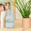 圖片 Miffy 米菲兔莫蘭迪色系款公仔存錢筒-小號 灰藍色MND-1512