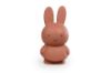 圖片 Miffy 米菲兔莫蘭迪色系款公仔存錢筒-小號 紅棕色MND-1412