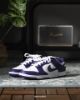 iSNEAKERS｜Nike Dunk Low Retro "Championship Purple" 白紫 DD1391-104