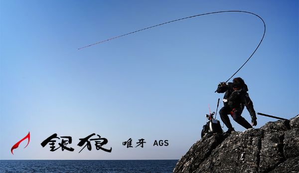 圖片 DAIWA 23年 銀狼唯牙 AGS  04-53  黑鯛磯釣竿