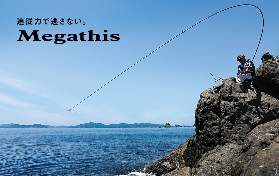 DAIWA MEGATHIS AGS 1.25-53 新紫電 磯釣竿