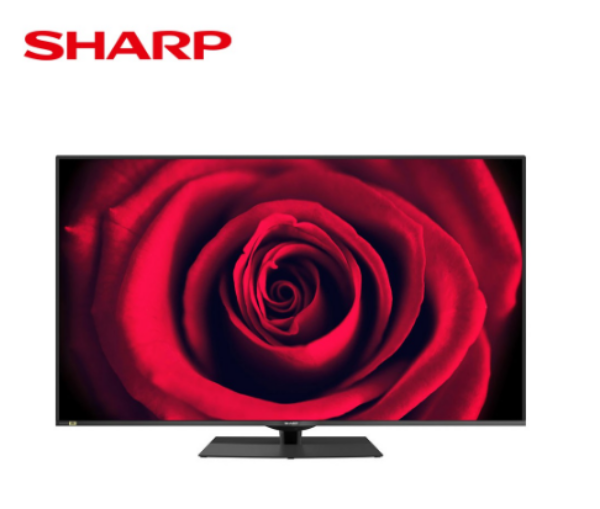 圖片 SHARP 夏普 60吋 8K聯網 液晶顯示器 螢幕 電視 8T-C60DW1X