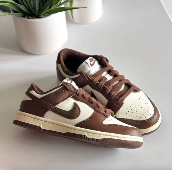 圖片 Nike Dunk Low Brown and Sail 🤎摩卡可可 DD1503-124