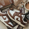 圖片 Nike Dunk Low Brown and Sail 🤎摩卡可可 DD1503-124