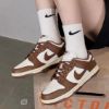 圖片 Nike Dunk Low Brown and Sail 🤎摩卡可可 DD1503-124