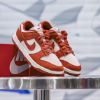 圖片 Nike Dunk Low LX Rugged Orange 磚紅橘 DZ2710-101