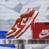 圖片 Nike Dunk Low LX Rugged Orange 磚紅橘 DZ2710-101