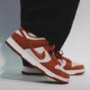 圖片 Nike Dunk Low LX Rugged Orange 磚紅橘 DZ2710-101