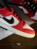 Nike Dunk Low Split  Chicago DZ2536600