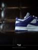 Nike Dunk Low Court Purple DD1391-104