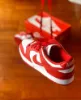 Nike Dunk Low “university red" 2023 大學紅 白紅 CU1727-100