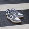 圖片 Nike Dunk Low Smoke Grey  反光煙灰 卡其底 FV0389-100