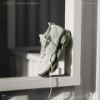 圖片 NICEDAY 現貨 Nike Air Max Scorpion FK 男鞋 銀 灰 綠 緩震 透氣 編織 厚底 大氣墊 DJ4701-005