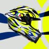 圖片 UPC騎士精品_台中店 【預購】AGV PISTA GP RR  Soleluna 2023