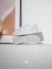 Nike Dunk Low Wmns Photon Dust DD1503103