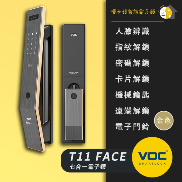 圖片 VOC T11 Face
