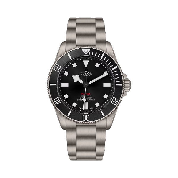 圖片 【TUDOR】帝舵 PELAGOS 39 磨砂鈦金屬 25407N 39mm-