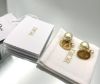 圖片 Dior Tribales 金色飾面金屬和白色樹脂珍珠耳環《2024季度新品》