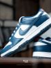 Nike Dunk Low Valerian Blue DD1391400